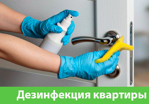 Дезинфекция квартиры в городе Саратов