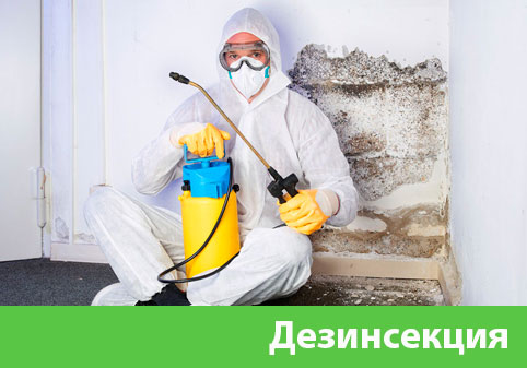 Дезинсекция в городе Саратов