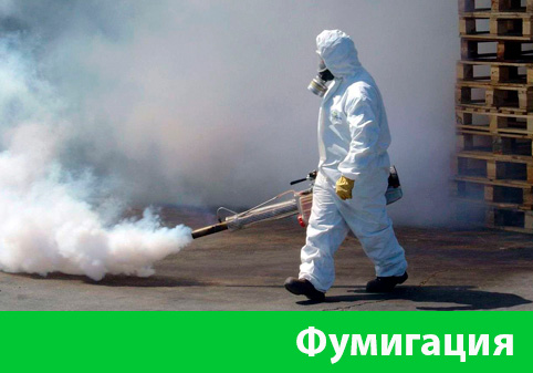 Фумигация в городе Саратов