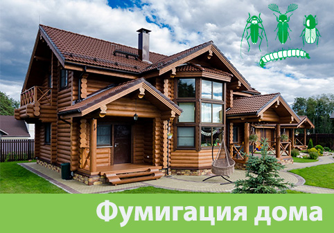 Преимущества обработки газом в городе Саратов