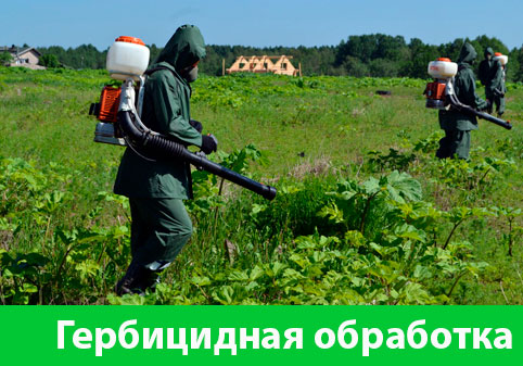 Гербицидная обработка в городе Саратов