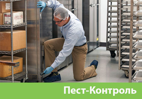 Пэст-Контроль в городе Саратов