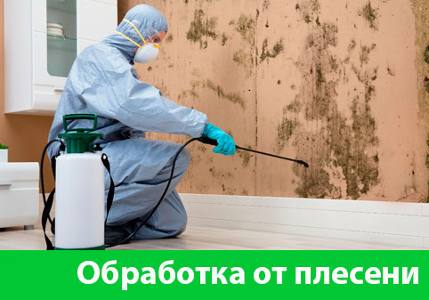 Обработка от плесени в городе Саратов