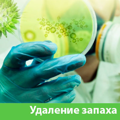 Удаление запахов в Саратове
