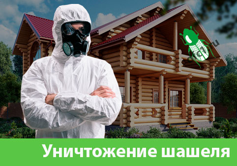 Уничтожение шашеля и личинок в Саратове