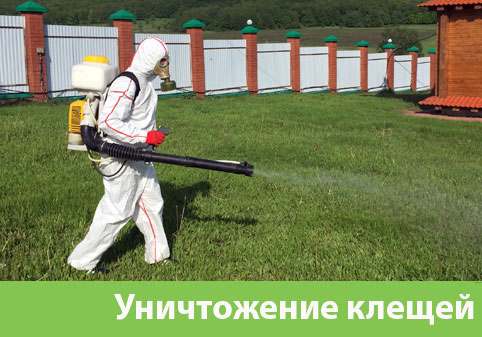 Уничтожение клещей в городе Саратов