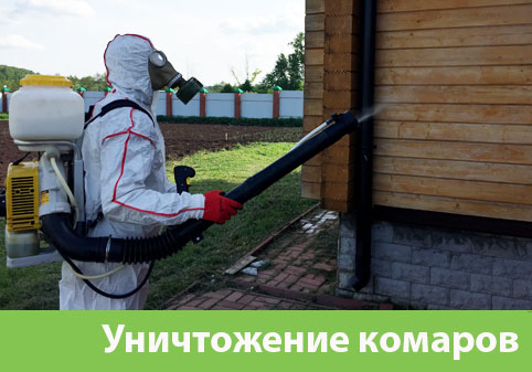 Уничтожение комаров в городе Саратов
